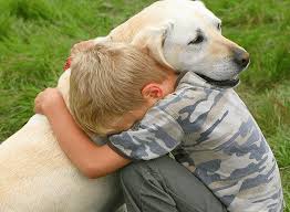 Do Labradors Like to Cuddle 